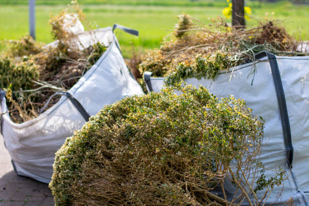 Best Full-Service Junk Removal  in Council Bluffs, IA